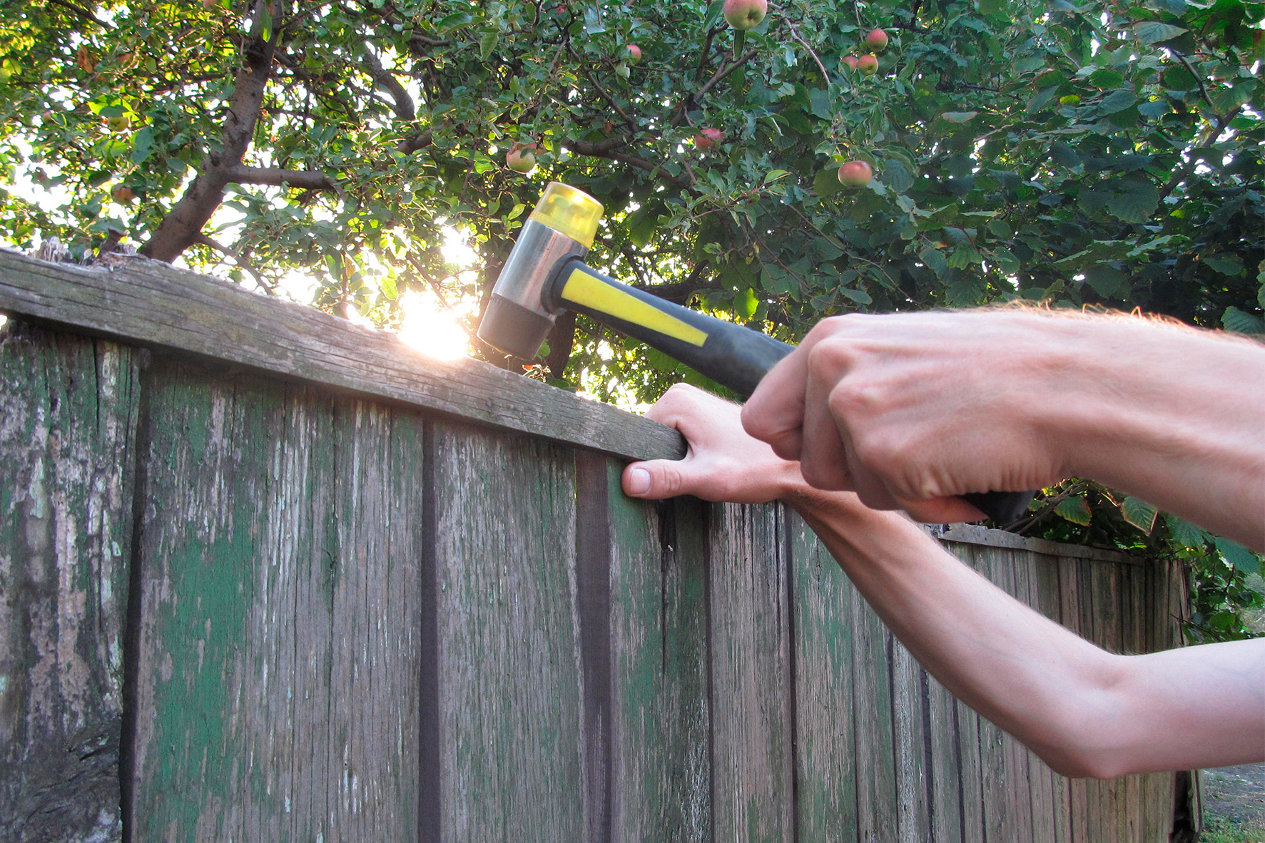 Individual striking a wooden fence with a hammer, demonstrating a repair technique for fences.