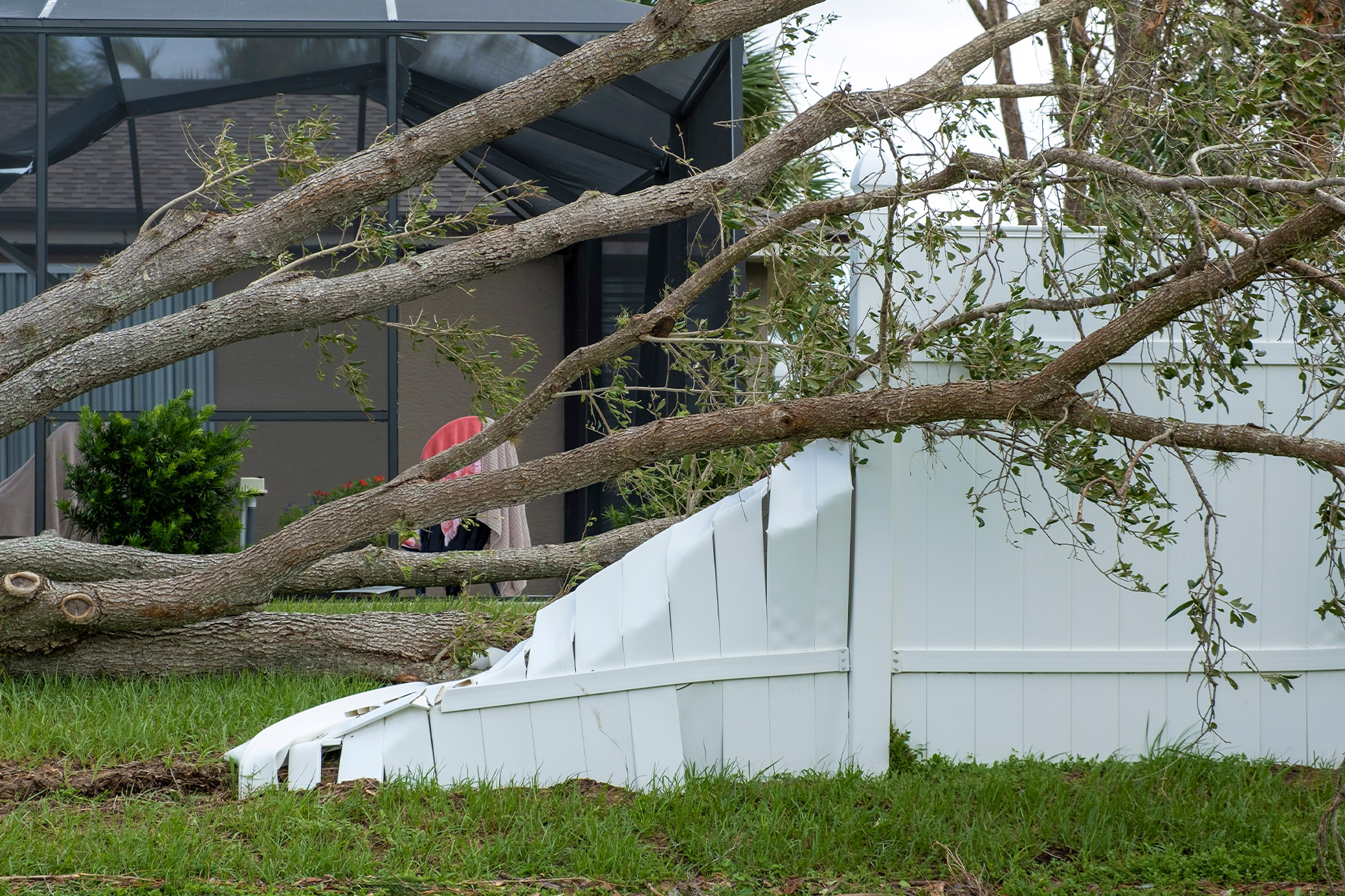 Local Fence Repair Services in Graham: What to Expect