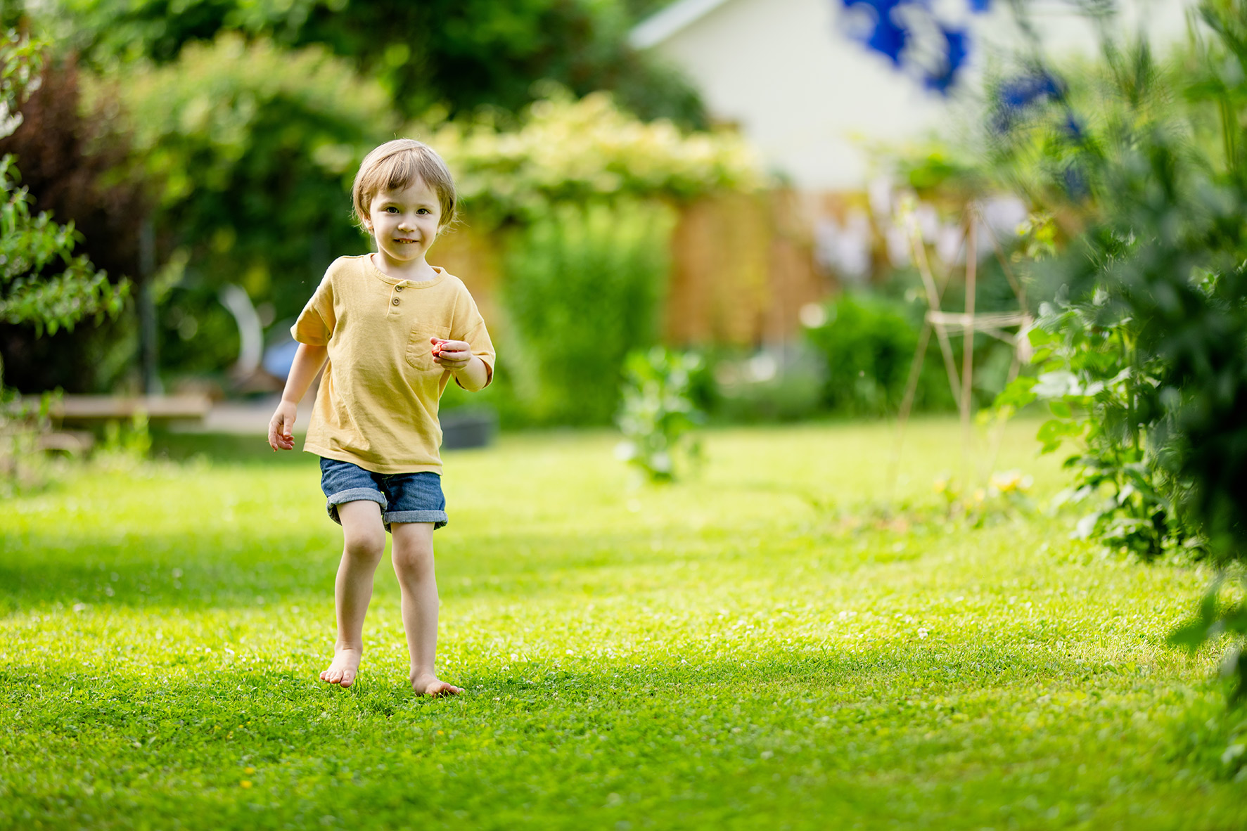 Creating a Child Safety Backyard Fence