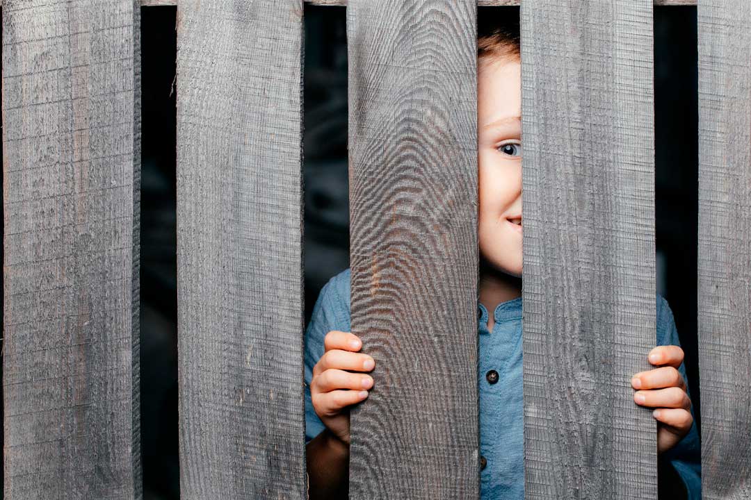 Best Fences for Autism Safety: Preventing Elopement