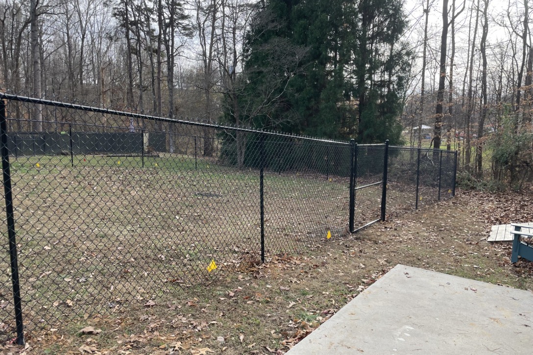 A chain link fence surrounds a backyard where a dog is playing, enjoying the outdoor space.